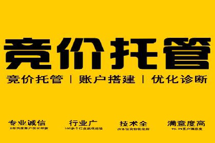 百度竞价公司与品牌合作：双赢的案例分析